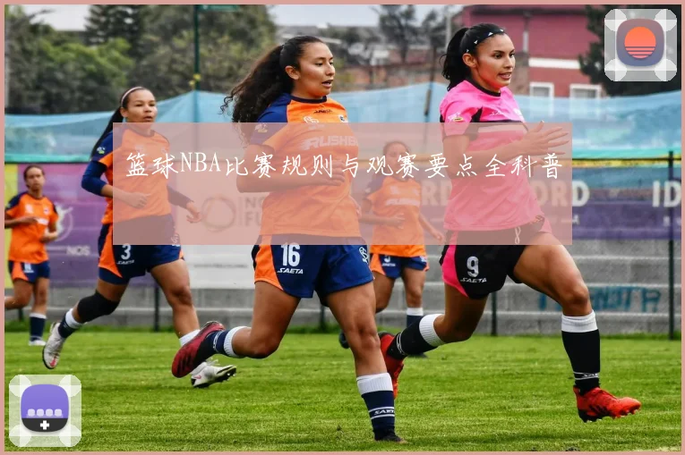 篮球NBA比赛规则与观赛要点全科普